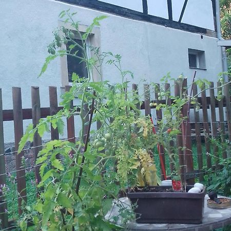Zum Stillen Himmelbett In Lichtenwalde Niederwiesa Екстер'єр фото